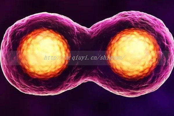 卵泡多大人工授精合适，卵泡多大人工授精合适怀孕