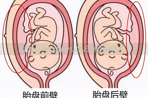 人工授精后怎么排卵的呢，人工授精排后做成功高吗