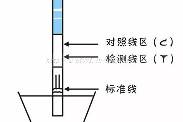 促排卵后一周卵泡多大，促排卵后一周卵泡多大才正常