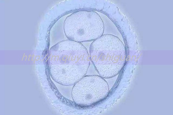 做人工授精后多久可以怀孕？做人工授精后多久可以怀孕呢？