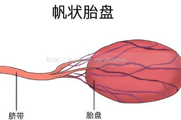 促排卵泡多大可以打促排卵？促排卵泡多大算成熟可以促排卵？