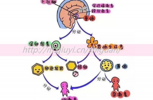 人工授精有人成功了么_人工授精有人成功了么吗